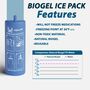 4AllFamily Voyager Large Insulin Travel Case Cooler, USB or Ice Pack Cooling, TSA-Compliant, , large image number 1
